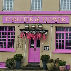 The Forester And Flower Verenigd Koninkrijk